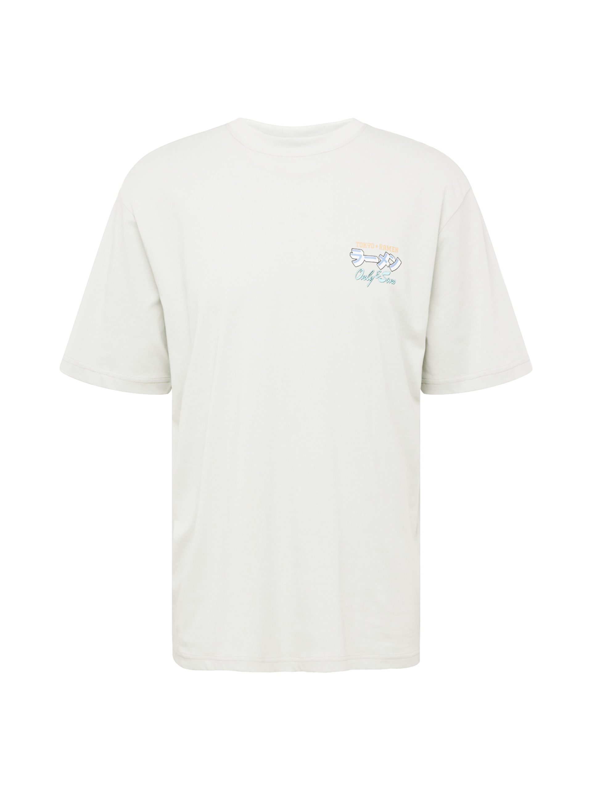 Camiseta 'Keane' Only & Sons en Gris Claro 17245796 Últimas unidades